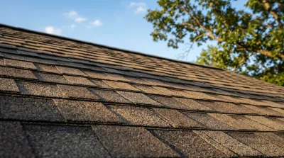 Architectural Shingles: Durability, Cost, and Why They Beat 3-Tab
