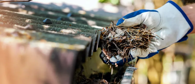 How Often Should You Clean Your Gutters?