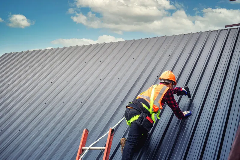 Safely Clean Your Steel Roof: Expert Tips for Removing Moss, Rust, and Mildew
