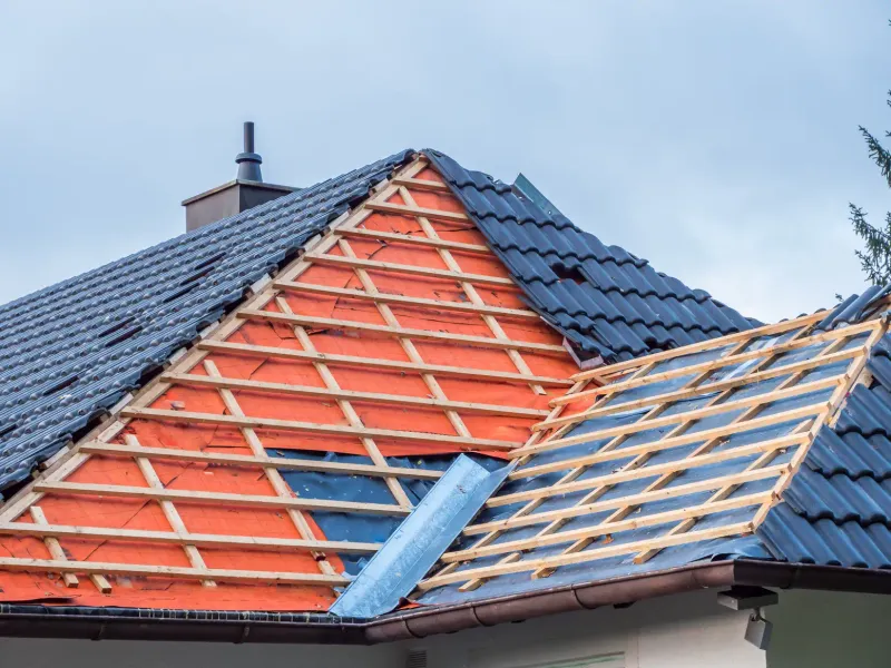 Purlins Explained: Function, Types, and Why They Matter for Your Metal Roof