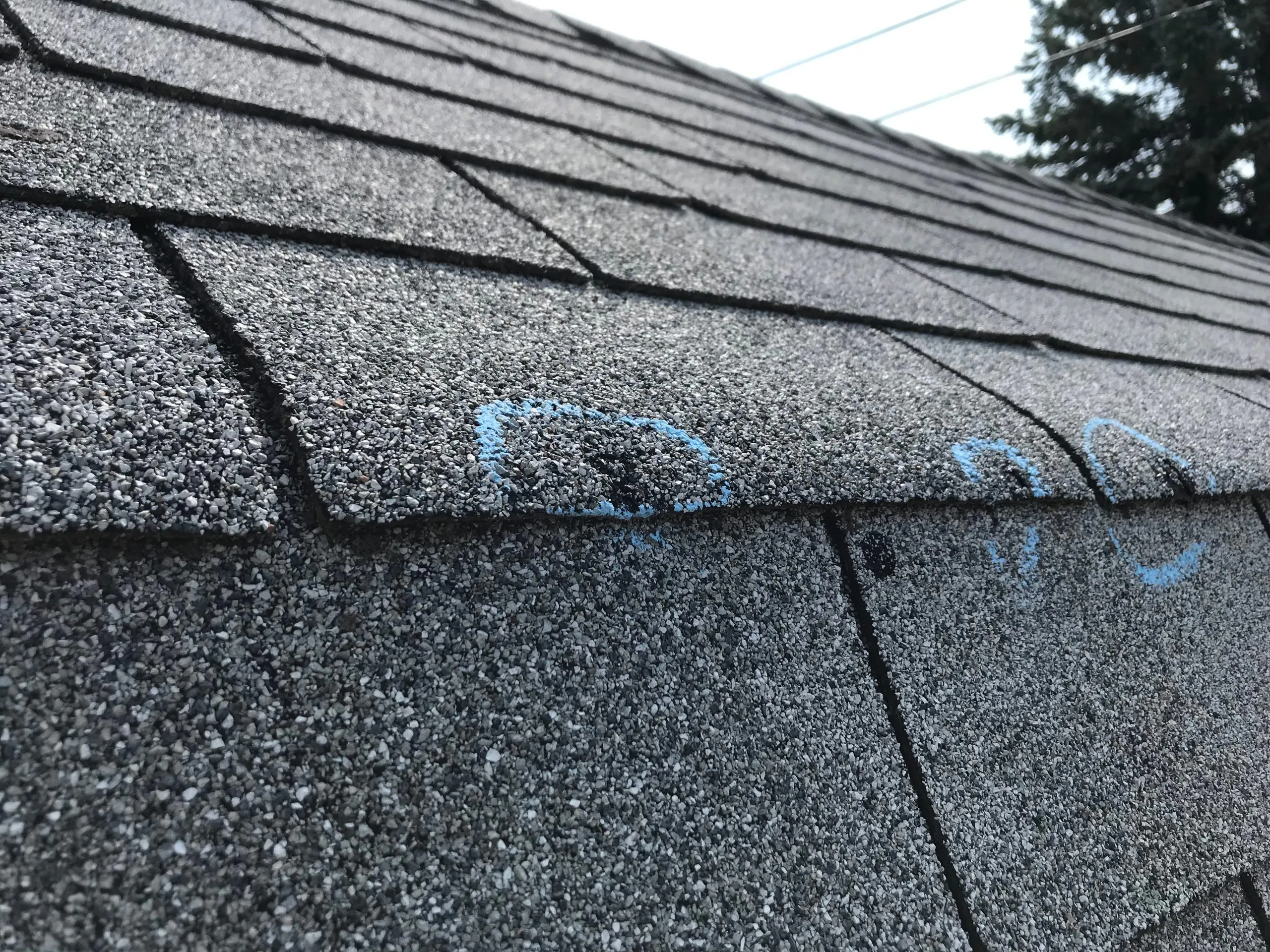 Storm damage repair services